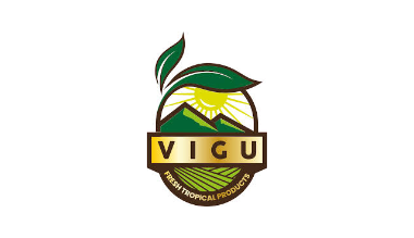 Loker Content Creator - Graphic Designer - Digital Marketing Strategist di PT. Vigu Farm Indonesia